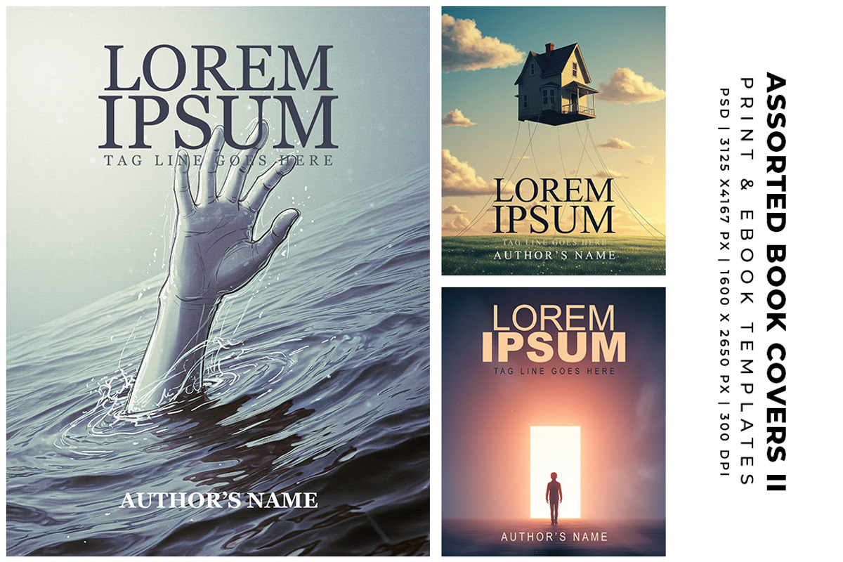 Assorted Book Covers Templates II preview 3
