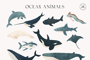 Ocean Animals: Colored & Outline