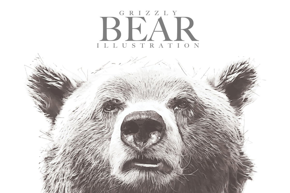 Grizzly Bear Illustration, an Illustration by Digital Art Downloads (Photo 1 of 3)