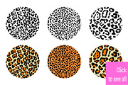 Tropical Patterns, a Pattern Graphic by Katyr (Thumbnail 4 of 4)