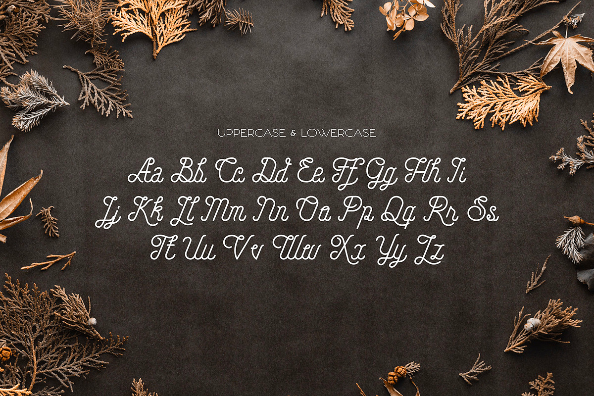 Hellofolks - Monoline Script Font, a Script Font by ikiiko (Photo 5 of 7)