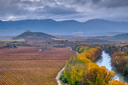Vineyards in La Rioja, Spain., a Nature Photo by CreativePhotoSpain