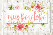 Miss Penelope Script Font, a Script Font by Miss Kate (Thumbnail 1 of 2)