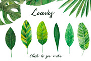 Amazonia. Tropical leaves, a Decorative Illustration by SaharaArt (Thumbnail 2 of 8)