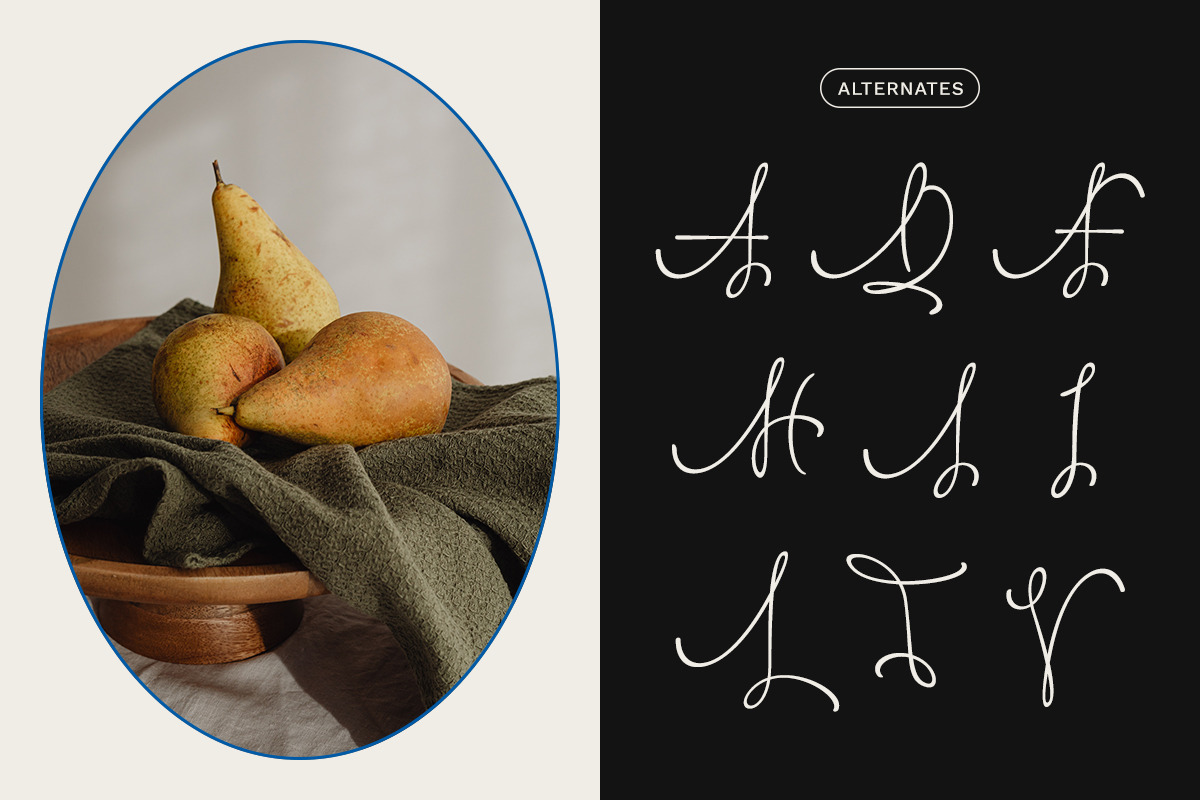 Larasita Elegant Sans Serif Font, a Sans Serif Font by Vadovastd (Photo 6 of 8)