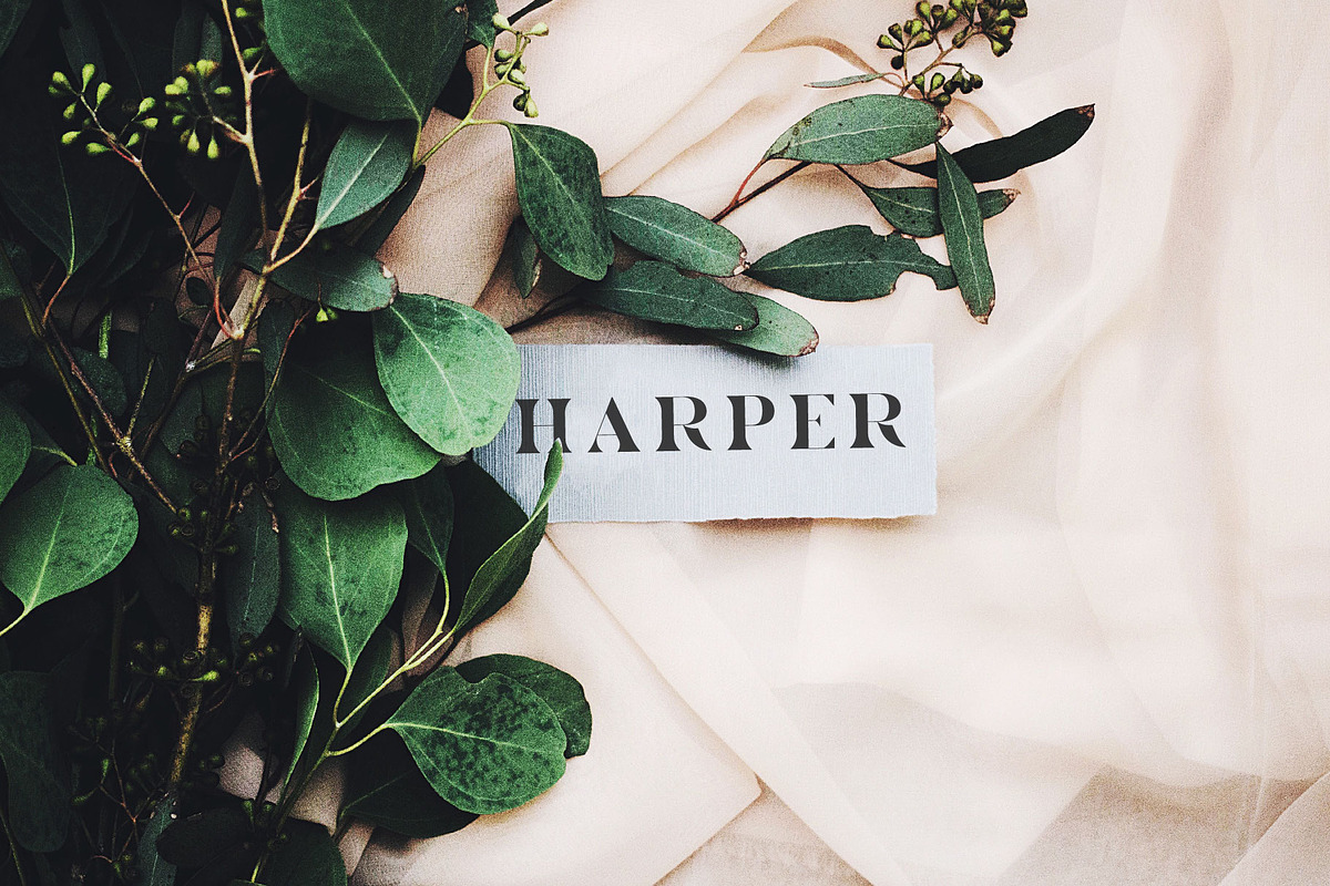 Kara & Co - Fashion Serif Font preview 2