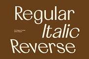 CS Calgary – Elegant Sans Serif, a Sans Serif Font by Craft Supply Co. (Thumbnail 4 of 8)