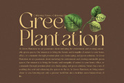Mafgin - Elegant Serif Font, a Serif Font by Graphicxell (Thumbnail 7 of 8)