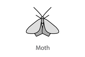 Moth Color Icon