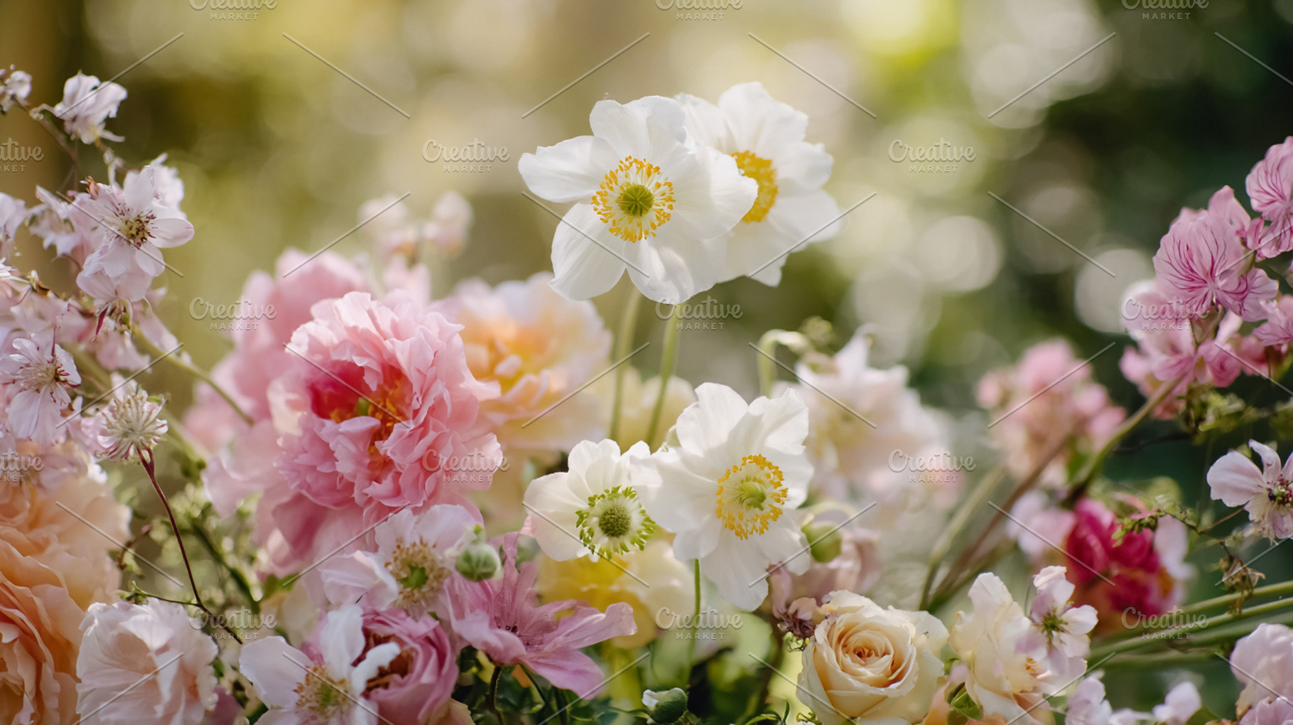 Colorful blooming garden flowers creating a soft, ethereal flora, a Photo by Studio ANNA
