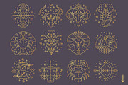 Zodiac Signs and Constellation, an Object Illustration by Alisovna (Thumbnail 12 of 12)