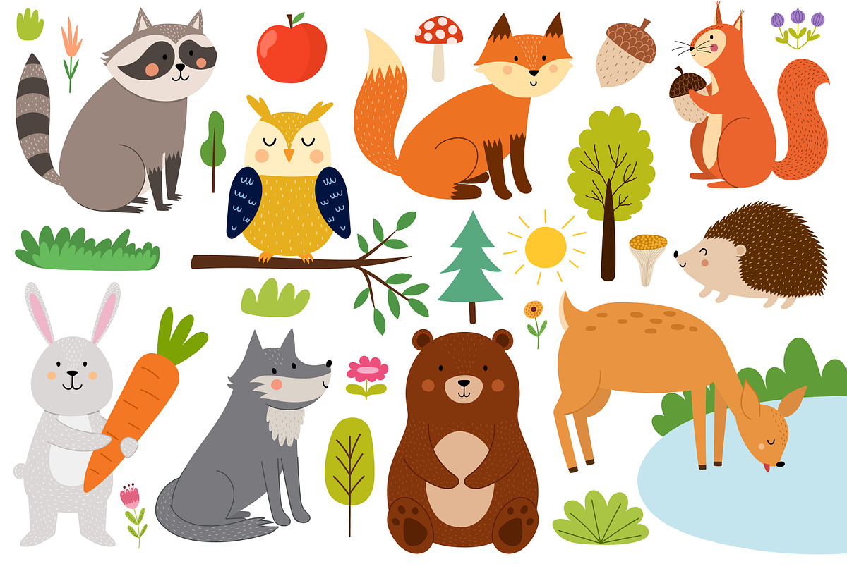 Cute Forest Animals Big Collection, an Animal Illustration by Gulnara Sabirova (Photo 6 of 16)