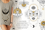 Skakralny geometry and beetles, an Illustration by Siriliadka Dreams (Thumbnail 1 of 10)