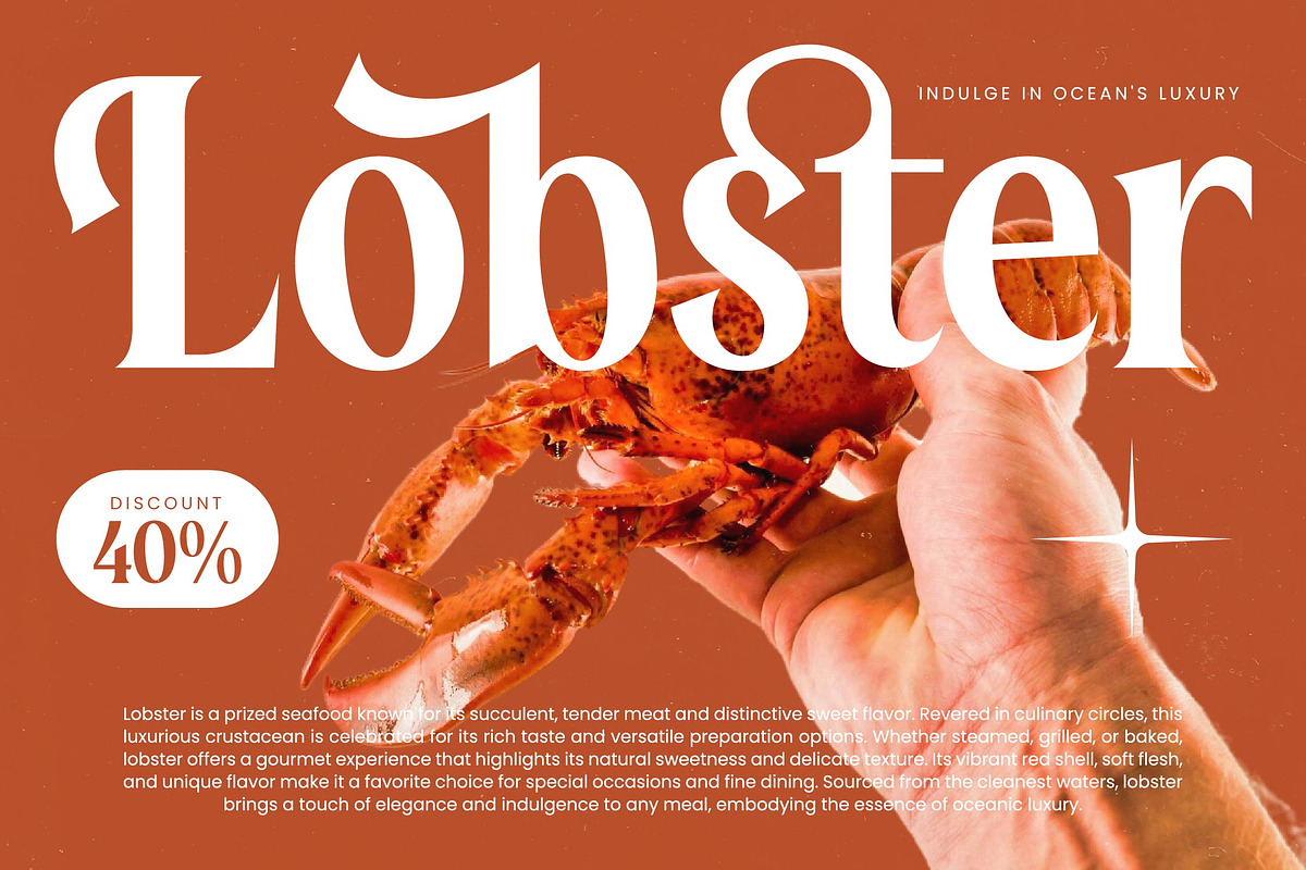 Rodagile Modern Display Serif, a Serif Font by timelesstype.co (Photo 9 of 20)