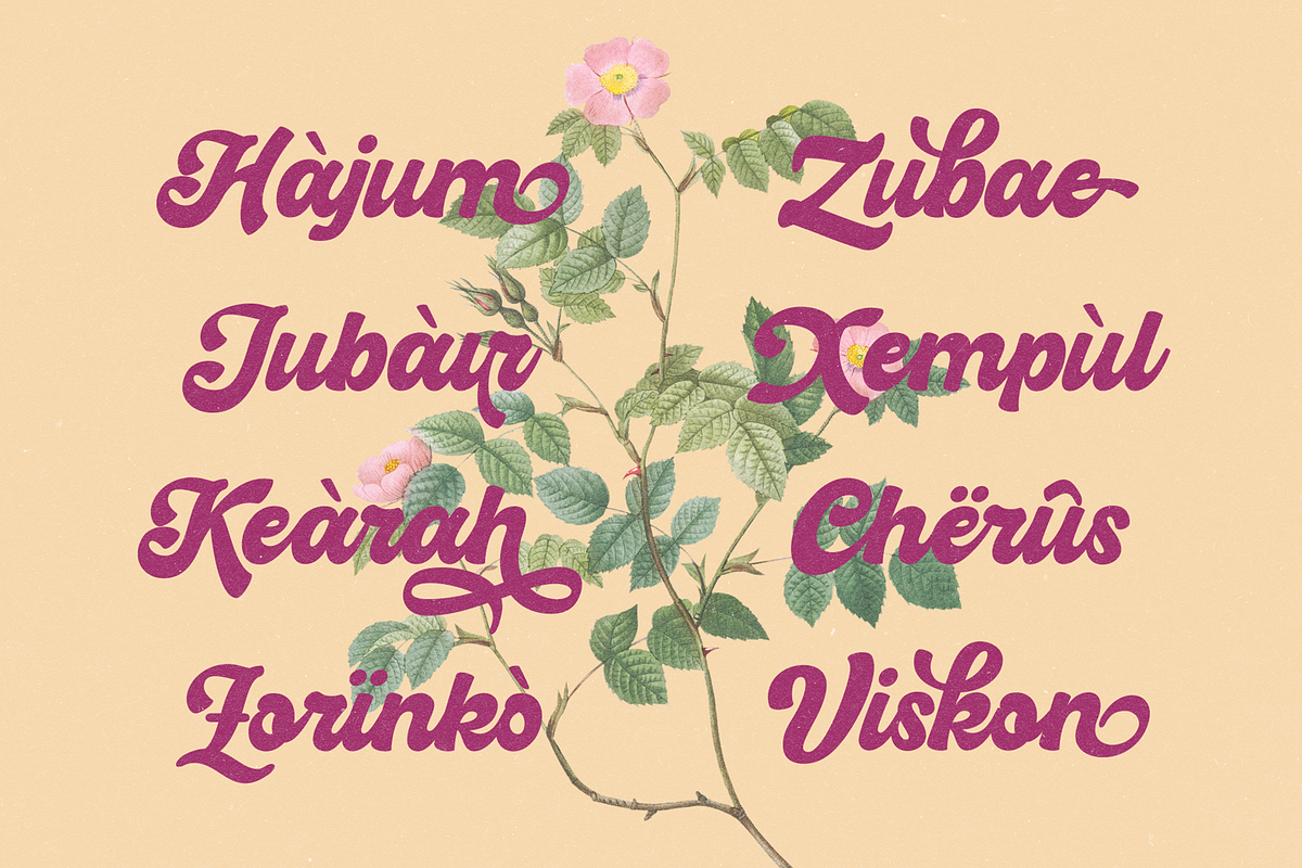Hiderh Mahen — Bold Groovy Script, a Script Font by Enxyclo Studio (Photo 25 of 27)