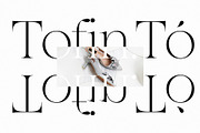 White Cold | Old And Elegant, a Script Font by Alcode (Thumbnail 13 of 14)
