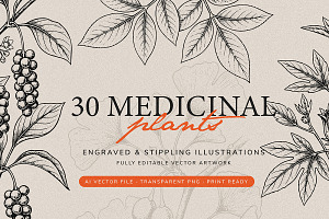 30 Medicinal Herbs & Plants