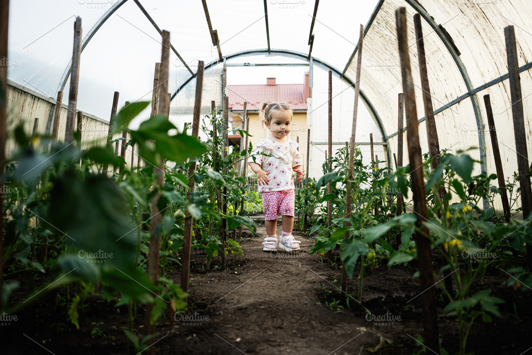Child exploring a greenhouse surrounded by vibrant green plants, a Person Photo by AS photostudio