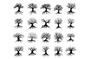 Dry tree black silhouettes. Bare, an Object Illustration by Valerie Bodnar