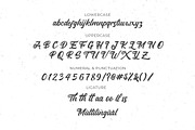 Bertuah Script Brush, a Script Font by Fikry Alfatih (Thumbnail 5 of 8)