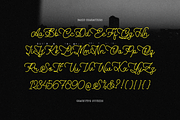 Julethia | Monoline Script Font, a Script Font by gracetype_studio (Thumbnail 10 of 12)