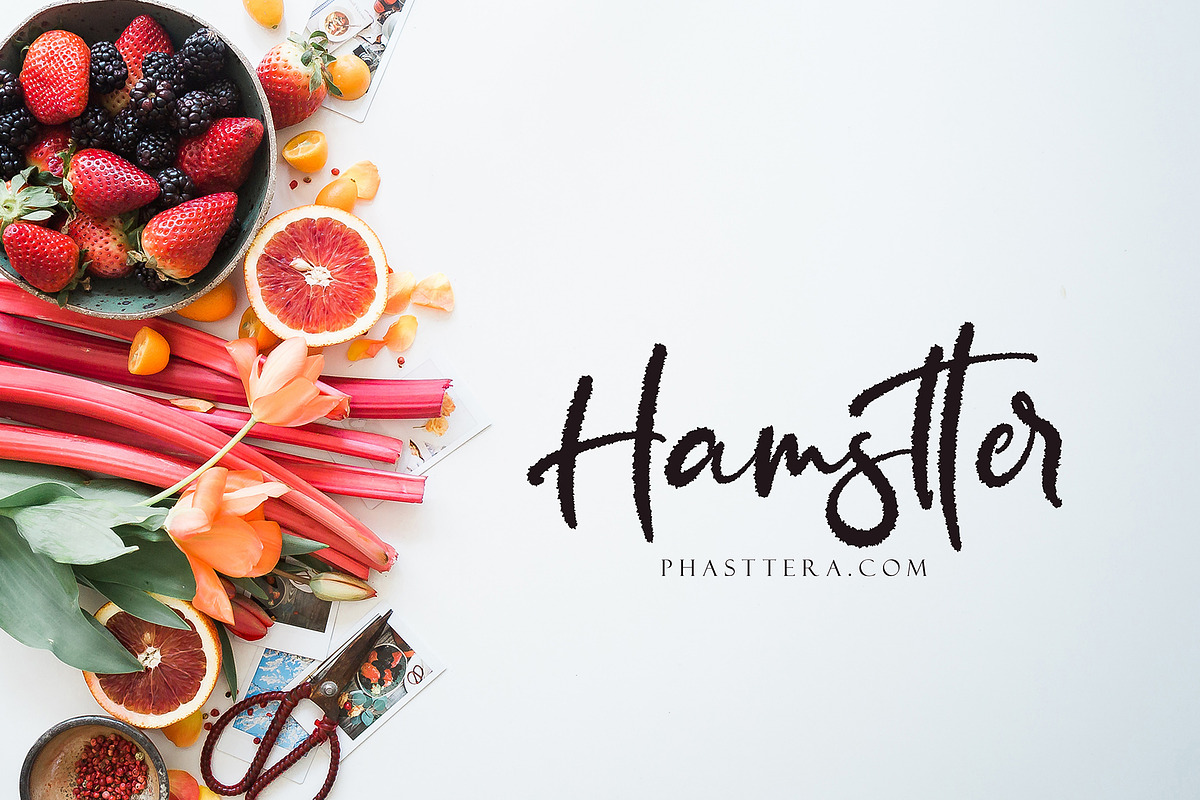 Seritton, a Script Font by pineungtype (Photo 3 of 10)