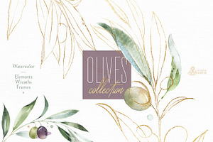 Olives. Watercolor Collection