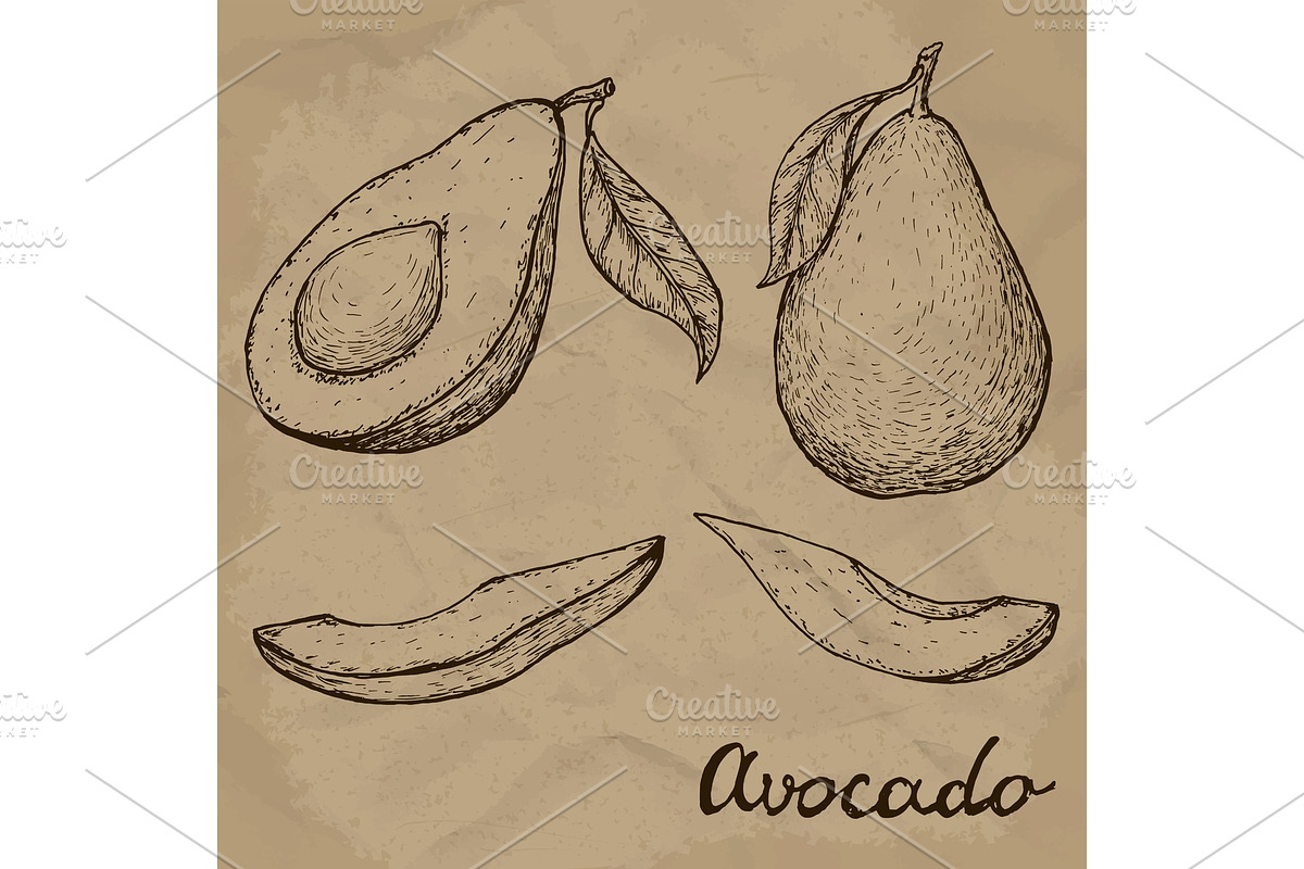 Hand drawn avocado set. Whole avocado, sliced pieces and half sketch. Engraved style illustration. Vector illustration EPS10, a Food Illustration by SHom