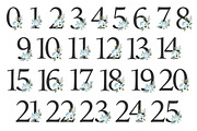 Soft Blue Floral Number Vectors, an Illustration by Amanda Ilkov (Thumbnail 5 of 5)