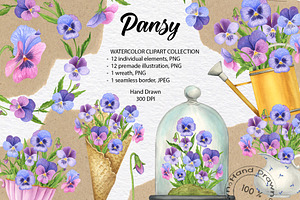 Pansy Watercolor Hand drawn set