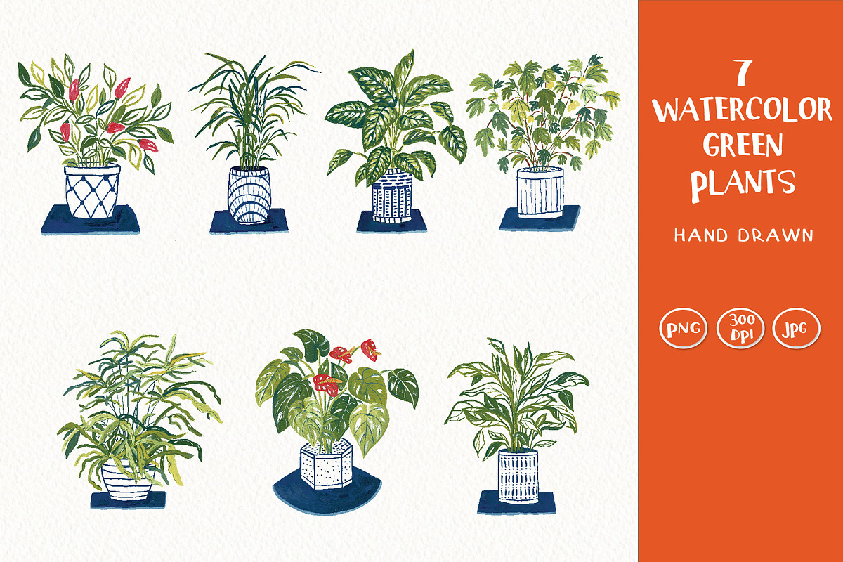Watercolor Green Plants Clipart Set, an Illustration by Anna Ivanir (Photo 1 of 5)