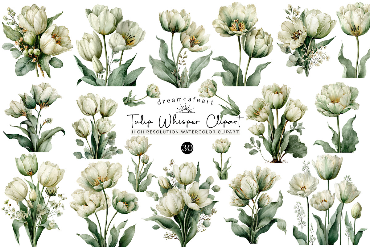 Tulip Whisper Watercolor Clipart, an Illustration by DreamCafeArt (Photo 1 of 6)