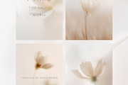 Ethereal Floral Backgrounds Bundle, an Abstract Photo by Allure Art (Thumbnail 17 of 26)