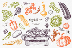 Vegetables. Hand Drawn Collection.