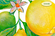 Lemons, Pomegranates elements, frame, an Object Graphic by Alena Lazareva (Thumbnail 8 of 10)
