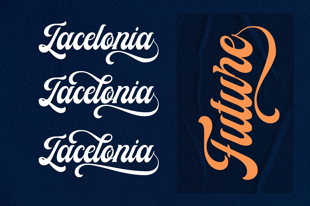 Hewlena, a Script Font by dansdesign (Photo 3 of 8)