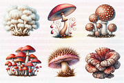 Watercolor Mushroom Clipart, an Illustration by CreationArt (Thumbnail 7 of 7)