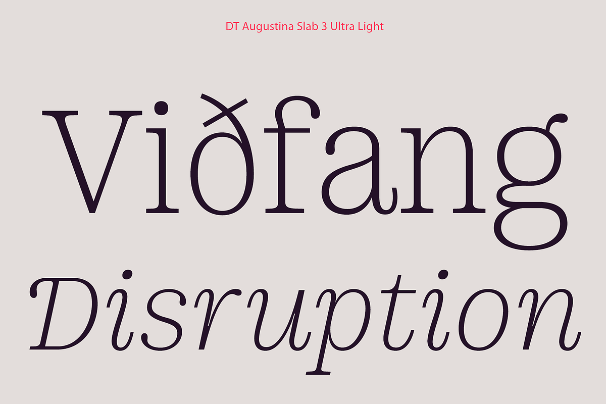 DT Augustina Slab 3 Subfamily, a Slab Serif Font by Deveze Type Foundry (Photo 3 of 31)
