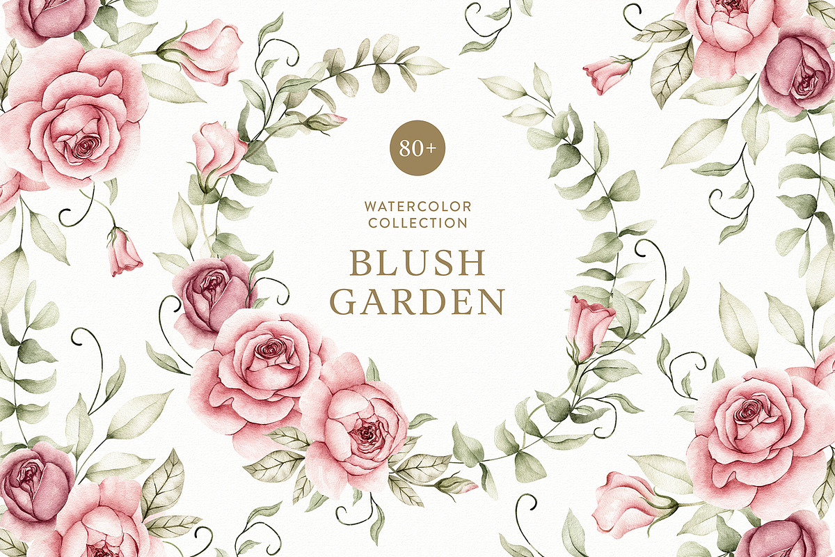 Watercolor Blush Roses Floral Set, a Decorative Illustration by Carol Lozove (Photo 1 of 50)