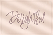 Sailing & Wishes Script Font, a Script Font by Salt & Pepper Designs (Thumbnail 8 of 10)