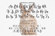Bunny | Script Font, a Script Font by Scratchones (Thumbnail 3 of 8)