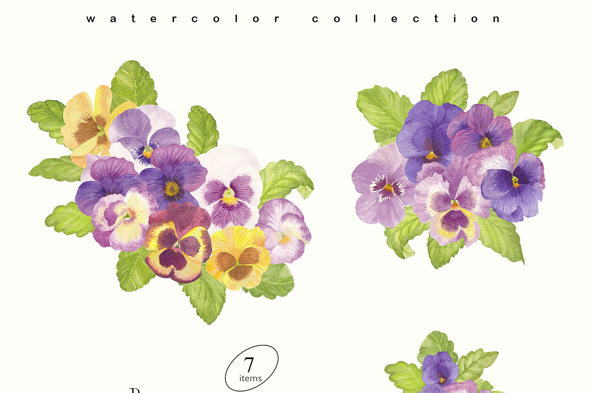 Pansy Watercolor Collection, a Decorative Illustration by Sunshine Art (Photo 5 of 9)