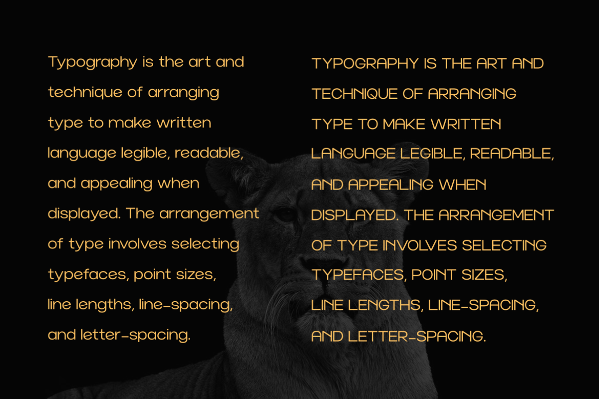 Norik Nue - A Modern Sans-serif Font, a Sans Serif Font by Webhance Studio (Photo 10 of 12)