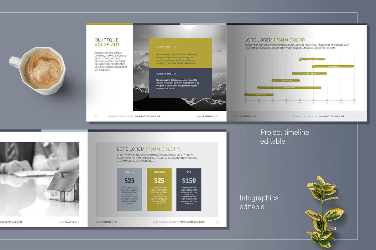Business Brochure InDesign Template, a Brochure Template by R-studio (Photo 6 of 9)