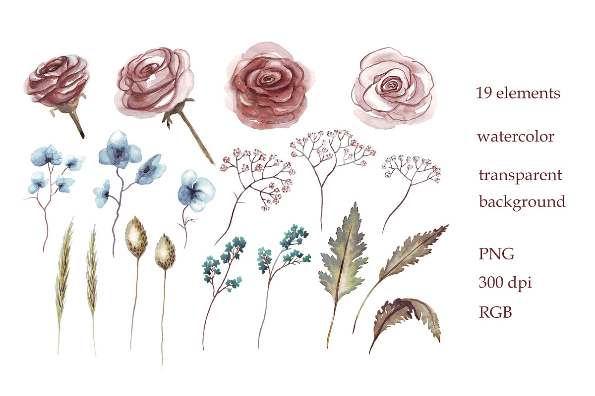 Dusty rose and herbs. Watercolor, an Illustration by Alena Kurian (Photo 2 of 7)