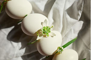 Eggs arranged with delicate flowers, a Nature Photo by IlliaBondarPhotography