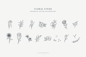 Floral Stems: Botanical Illustration