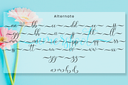 Amersfoot Script Calligraphy, a Script Font by MC Creative (Thumbnail 8 of 8)
