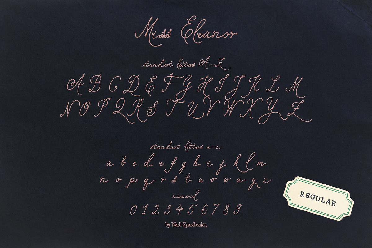 Miss Eleanor — Romantic Font, a Handwritten Font by nadispasibenko (Photo 5 of 8)