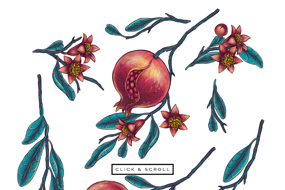 POMEGRANATE EDEN - patterns & motifs, a Decorative Illustration by Liiafis (Photo 11 of 15)